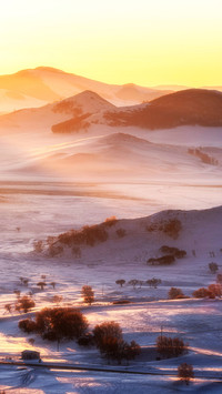 The best winter morning foggy ground