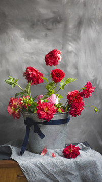 To raise flowers you must first learn to raise roots 84