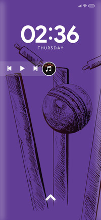 Cricket_17