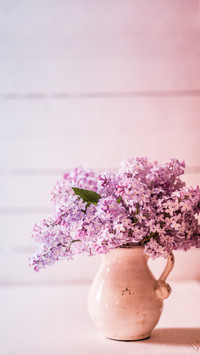 Bouquet of lilacs