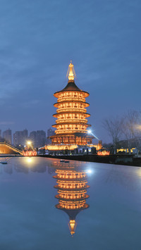 一揽洛阳的芳华