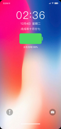 iOS X20