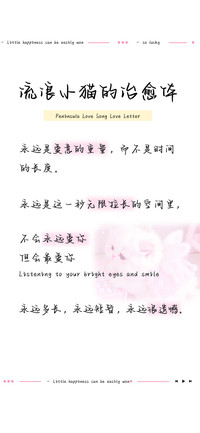 流浪小猫的治愈体