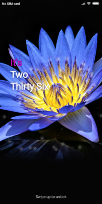 Flower_DWM19