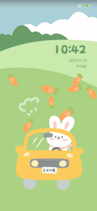 Rabbit turnip