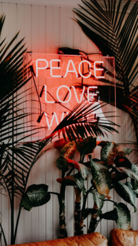International Peace (17)