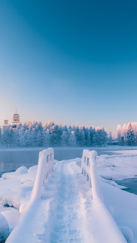Cold winter landscape