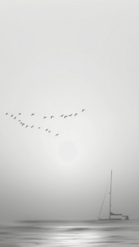 灰色空间