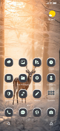 Deer in Woods