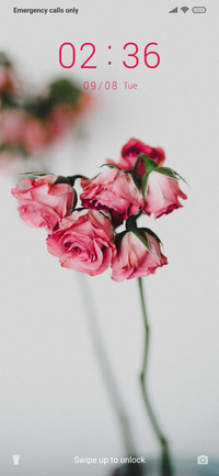 Roses_3MDS