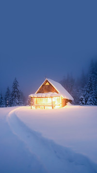 毕淑敏笔下的雪之歌