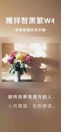腾祥智黑繁W4
