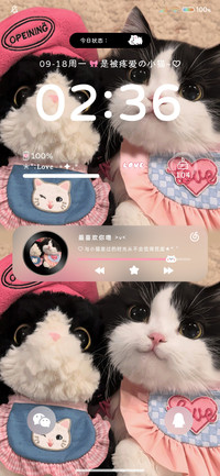 双模式 贴贴小猫