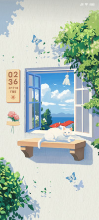 Window story
