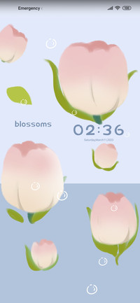 Colorful tulips