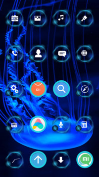 JellyFish_3MDP