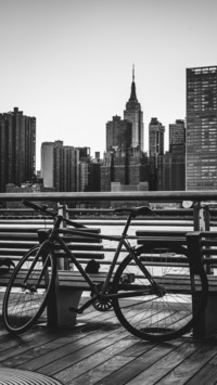 Bicycle (13)