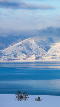 Where do the creatures of Lake Baikal come from 4