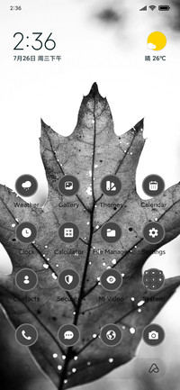 Winter Leaf