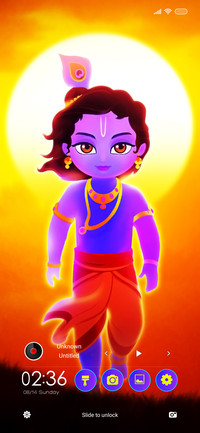 Krishna Bliss