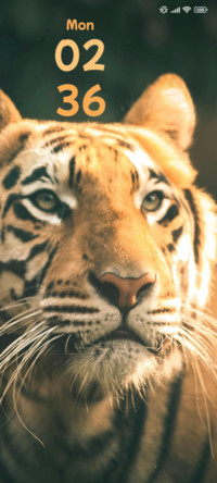 Tiger