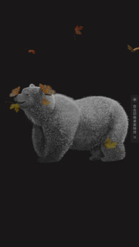 小熊与蝴蝶