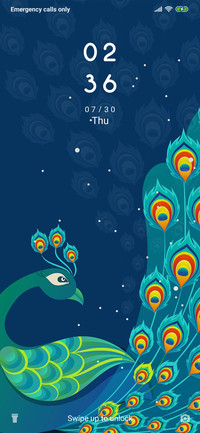 Peacock_3MDS