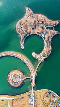 Overlooking the fish of shanghai