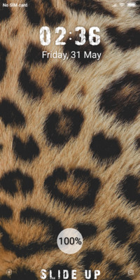 Skin_DWM19