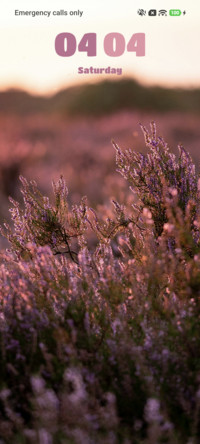 Purple Field
