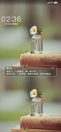 安好雏菊