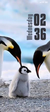 Penguin