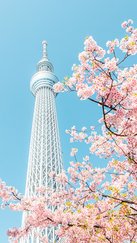 Recommended travel destination for March 9