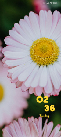 Flower
