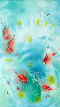 Lucky Koi Fish Illustration