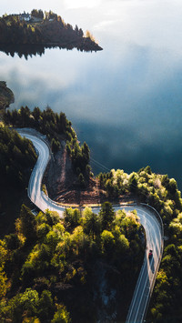 Forest road-02