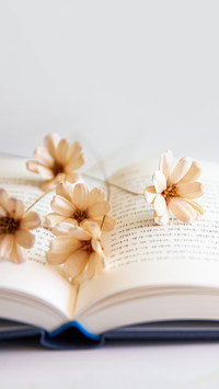 Dry flowers lying on an open book