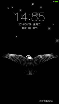 雄鹰展翅