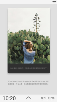 (全图标+屏锁自定义)仙人掌说