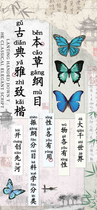 本草纲目古典雅致楷