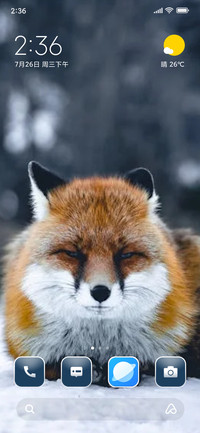 Fox