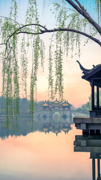 The willow branches on the fivepavilion bridge are light