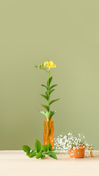 简单的插花也有内涵