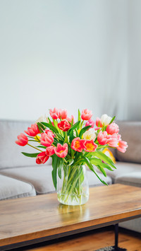 Vase of fresh tulips on the coffee table