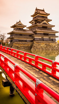 Grey yellow Temple-01