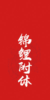 个性化后盖彩膜
