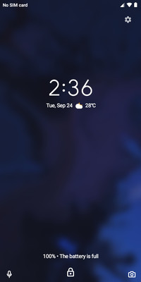 Android 10_DWM2