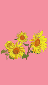 Four sunflowers