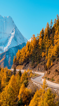 A direct flight to daocheng was dissuaded by altitude