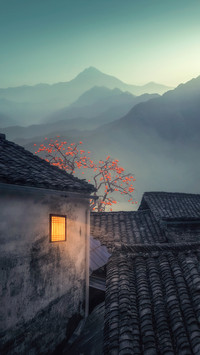 “柿”与愿违